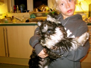 This is Leo's new puppy, Poppy.